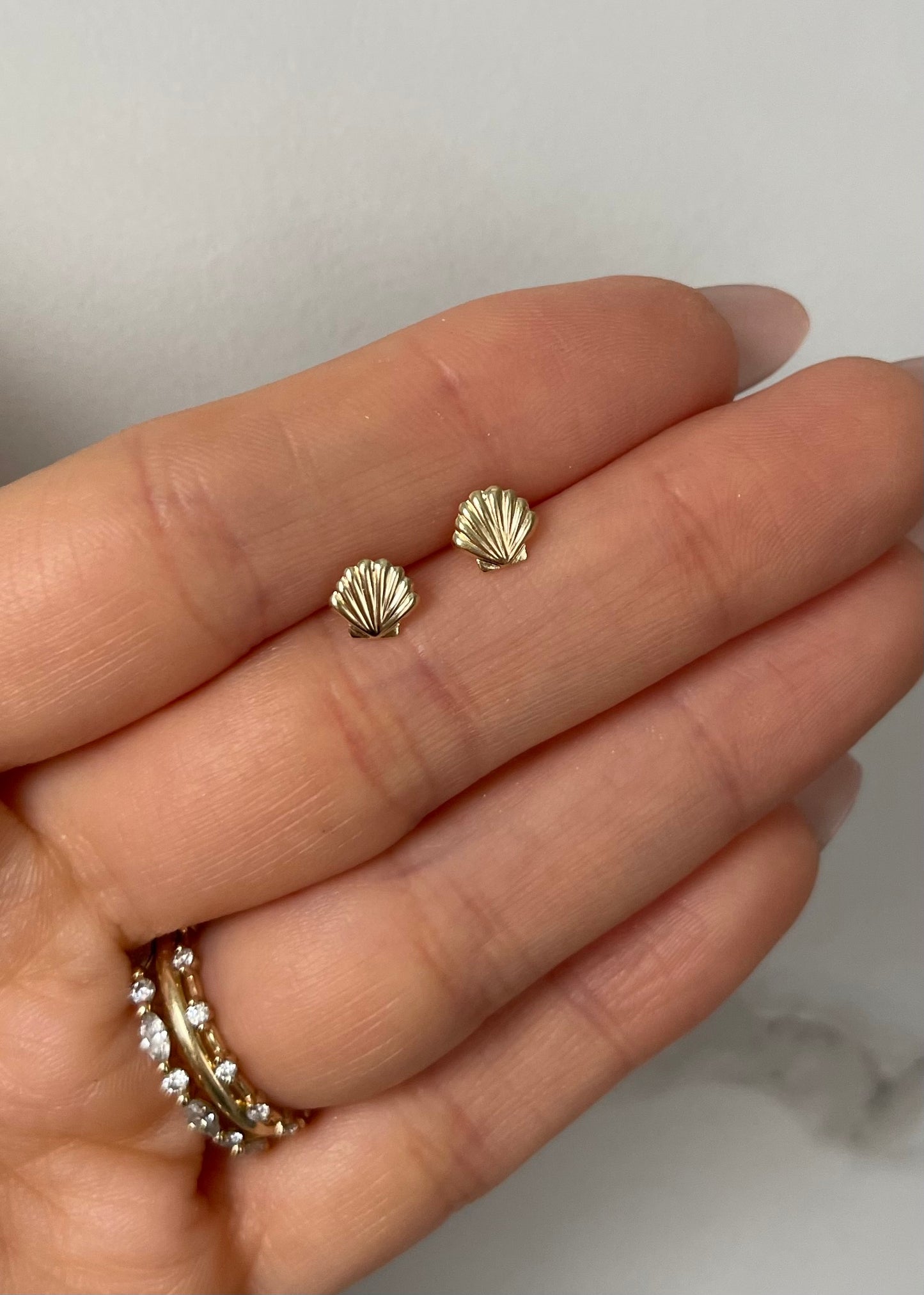 Seashell Stud Earrings