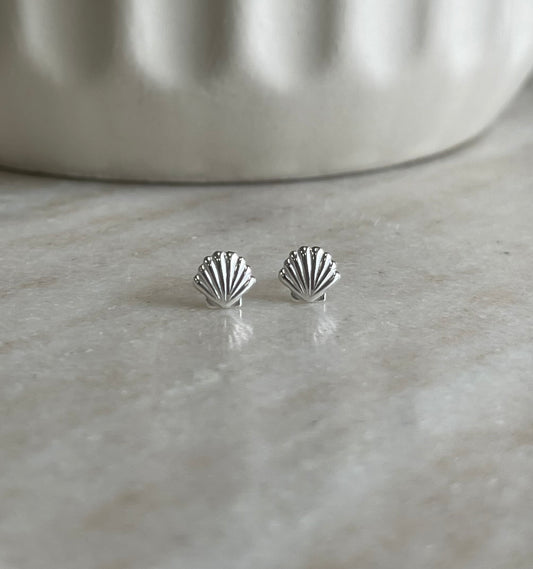Seashell Stud Earrings