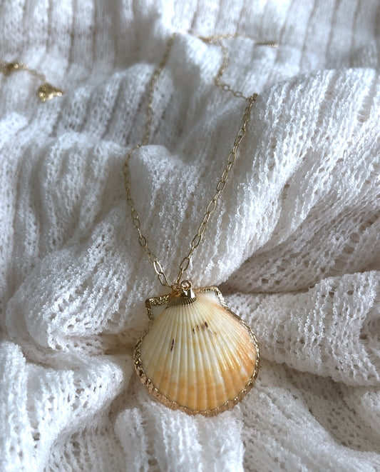 Sunrise Seashell Necklace
