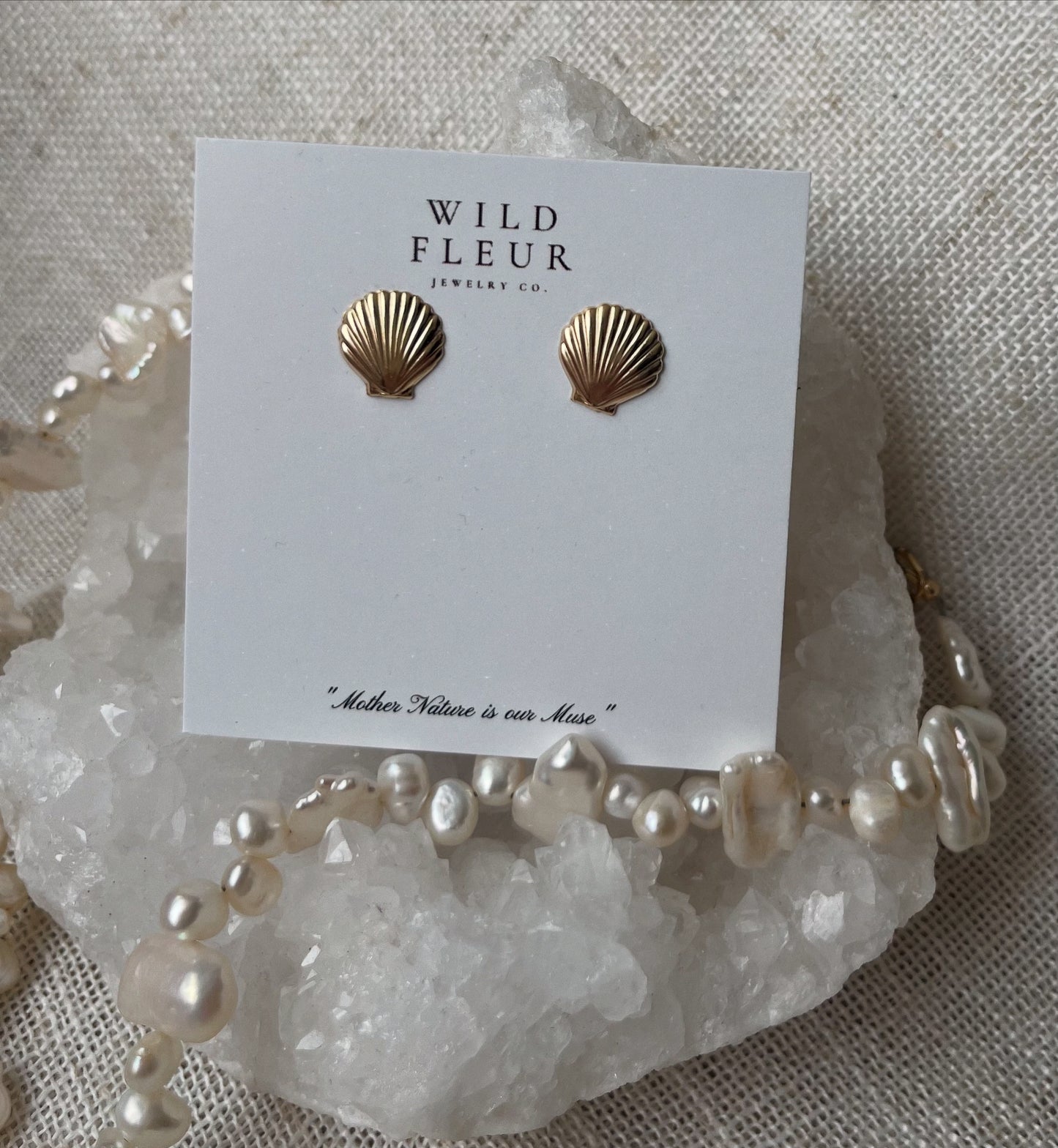 Large Seashell Studs